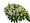 圖片 1